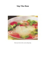 Súp Nha Đam