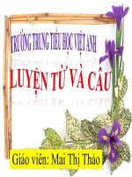 Luyện tập về động từ