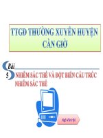 Bài 5: NST và đột biến NST