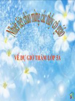 TLV5 LAP CHUONG TRINH HOAT DONG