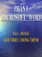 Bài giảng powerpoint wort bài 1