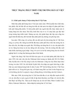 THỰC TRẠNG PHÁT TRIỂN THỊ TRƯỜNG BÁN LẺ VIỆT NAM