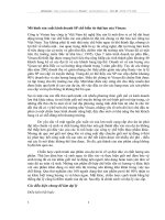 Mô hình sản xuất kinh doanh SP chế biến từ thịt lợn của Vissan