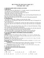 Đề cương 9 chuẩn KT.KN 2010