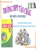 Bài 14: Enzim và vai trò của EZ trong qtchvc