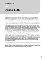 Dynamic T-SQL