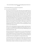 Thực trạng hoạt động tín dụng đối với các doanh nghiệp ngoài quốc doanh tại Sở Giao dịch