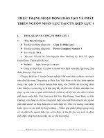 THỰC TRẠNG HOẠT ĐỘNG ĐÀO TẠO VÀ PHÁT TRIỂN NGUỒN NHÂN LỰC TẠI CTY ĐIỆN LỰC 1