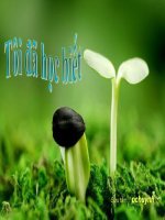 Tôi đã học biết !