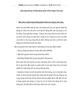 phương hướng và biện pháp phát triển công ty Hạ long