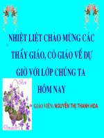 luc van tien cuu kieu nguyet nga