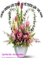 Bài giảng từ đồng âm