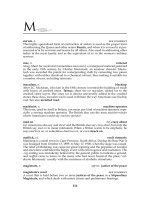 British English A to Z - past 7