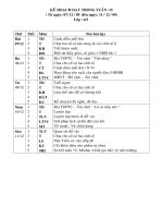 GIAO AN LOP 4 TUAN 15 CKTKN-GDMT