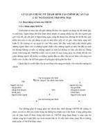 LÝ LUẬN CHUNG VỀ THẨM ĐỊNH TÀI CHÍNH DỰ ÁN TẠI CÁC NGÂN HÀNG THƯƠNG MẠI