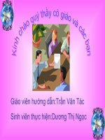 danh nhau voi coi xay gio