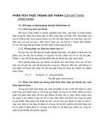 Phân tích thực trạng giá thành của mỏ than vàng danh