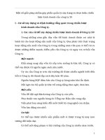 Một số giải pháp nhằm góp phần quản lý xây dựng và thực hiện chiến lược kinh doanh của công ty 20