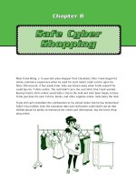 Safe cyber shopping