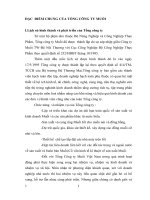 ĐẶC  ĐIỂM CHUNG CỦA TỔNG CÔNG TY MUỐI