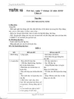 Giáo án Lớp 2 Tuan 16 đến 20