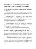 NHỮNG LÝ LUẬN CƠ BẢN VỀ HIỆU QUẢ XUẤT KHẨU HÀNG HOÁ CỦA DOANH NGHIỆP XUẤT NHẬP KHẨU