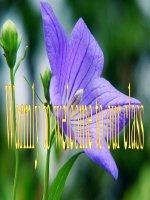 UNIT 15. COUNTRIES C3