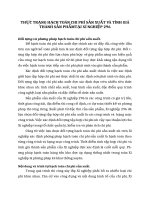 THỰC TRẠNG HẠCH TOÁN CHI PHÍ SẢN XUẤT VÀ TÍNH GIÁ THÀNH SẢN PHẨMTẠI XÍ NGHIỆP 296