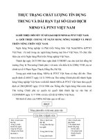 THỰC TRẠNG CHẤT LƯỢNG TÍN DỤNG TRUNG VÀ DÀI HẠN TẠI SỞ GIAO DỊCH NHNO VÀ PTNT VIỆT NAM