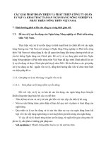 CÁC GIẢI PHÁP HOÀN THIỆN VÀ PHÁT TRIỂN CÔNG TY QUẢN LÝ NỢ VÀ KHAI THÁC TÀI SẢN NGÂN HÀNG NÔNG NGHIỆP VÀ PHÁT TRIỂN NÔNG THÔN VIỆT NAM