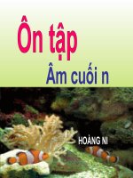 bài 51 Ôn tập  Hoàng Ni ĐBL ĐN