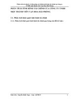 PHÂN TÍCH TÌNH HÌNH TÀI CHÍNH CỦA CÔNG TY TNHH MỘT THÀNH VIÊN VẠN HOA HẢI PHÒNG