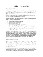 Giá trị và tầm nhìn