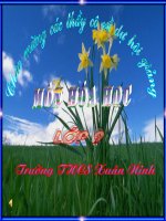 bai hoi giang Hoa 9  t37