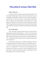 Nhân giống ốc hương ở Bình Định