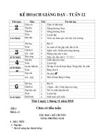 Giáo án lớp 3 - tuần 12. CKTKN( các môn)