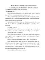 CƠ SỞ LÝ LUẬN CHUNG VỀ CÔNG TY LỮ HÀNH