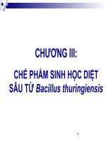 che pham bao ve thuc vat