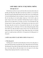 GIỚI THIỆU CHUNG VỀ HỆ THỐNG THÔNG TIN QUẢN LÝ