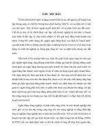 LỜI   MỞ  ĐẦU