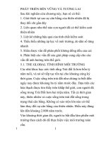 PHÁT TRIỂN BỀN VỮNG VÀ TƯƠNG LAI