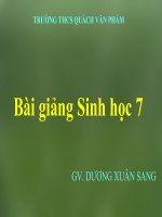BÀI 25 NHỆN VÀ SỰ ĐA DẠNG CỦA LỚP NHỆN