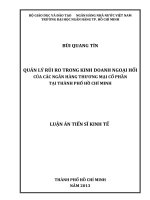 QUẢN lý rủi RO TRONG KINH DOANH NGOẠI hối của các NGÂN HÀNG THƯƠNG mại cổ PHẦN tại THÀNH PHỐ hồ CHÍ MINH
