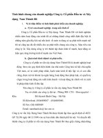 Tình hình chung của doanh nghiệp Công ty Cổ phần Đầu tư và Xây dựng  Nam Thành Đô