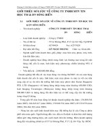 GIỚI THIỆU SƠ LƯỢC VÈ CÔNG TY TNHH MTV TIN HỌC TM & DV SÓNG BIỂN