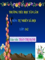 TNXH lop 1 bài: nhà ở