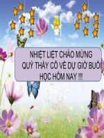 Một số giun đốt thường gặp và đặc điểm chung của giun đốt