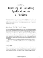 Exposing an Existing Application As a Portlet