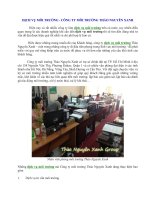 DỊCH VỤ MÔI TRƯỜNG - CÔNG TY MÔI TRƯỜNG THẢO NGUYÊN XANH