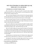 PHÂN TÍCH TÌNH HÌNH TÀI CHÍNH THÔNG QUA HỆ THỐNG BCTC CỦA CHI NHÁNH